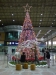 dsc00149.jpg