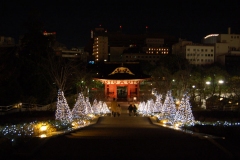 Park Near The Tokyo Tower
